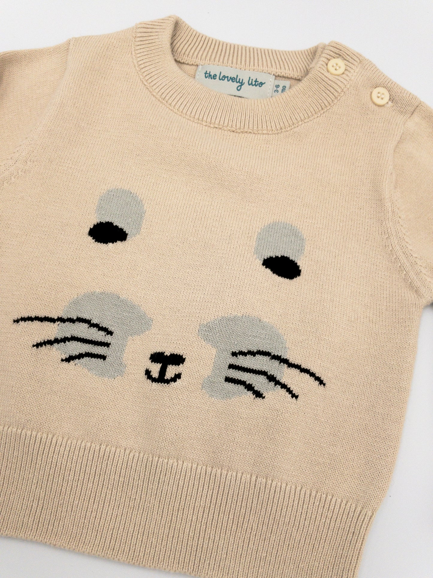 Baby Jumper Lito Intarsia - Beige