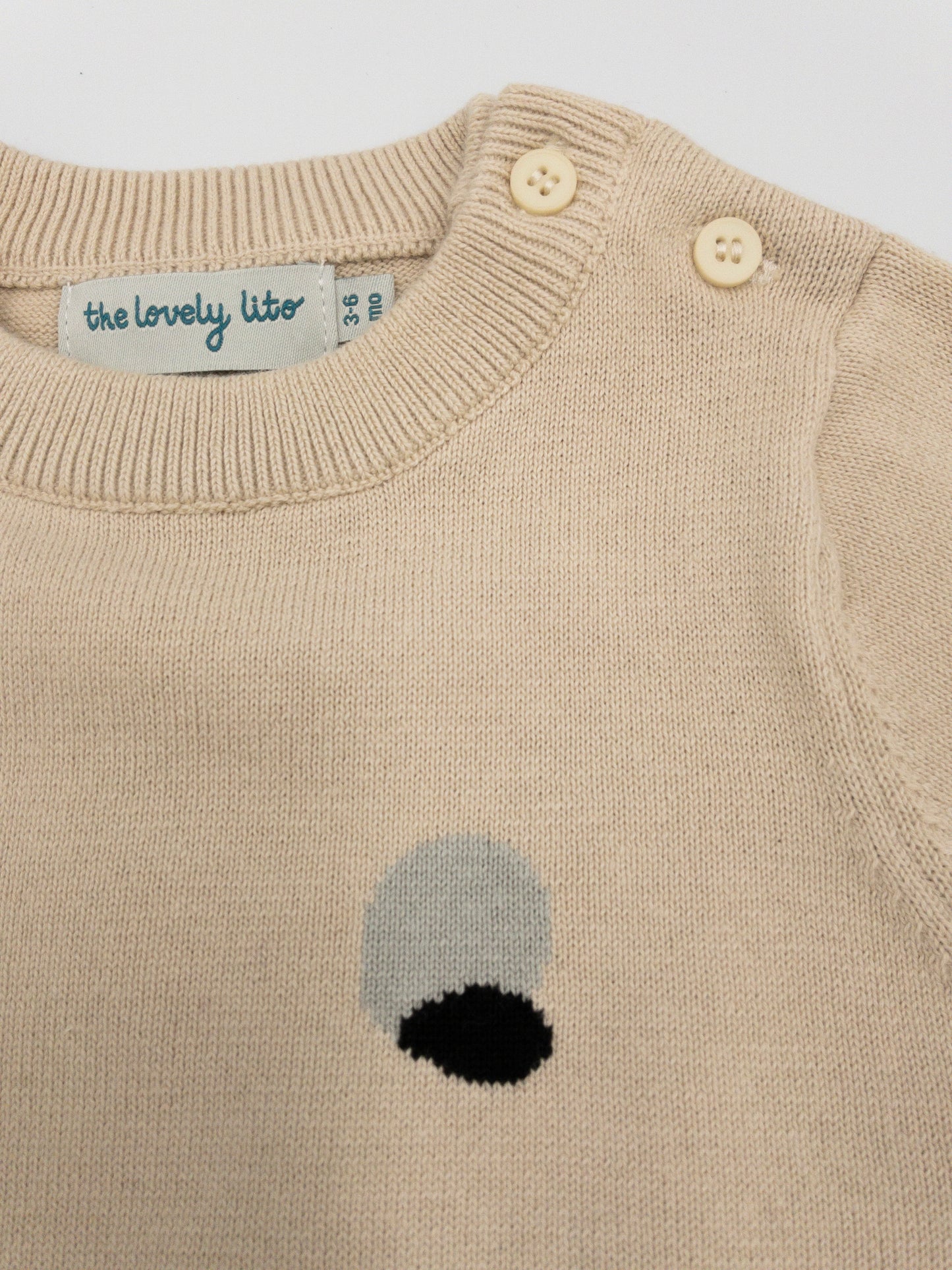 Baby Jumper Lito Intarsia - Beige