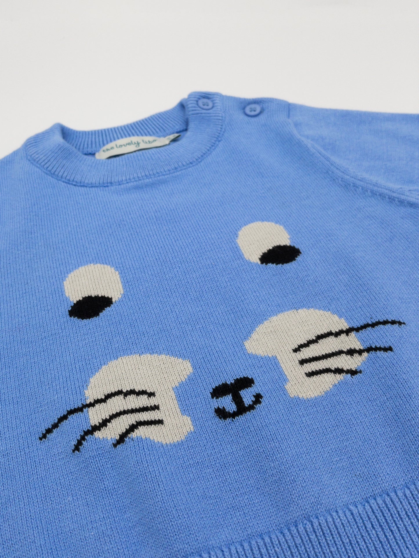 Baby Jumper Lito Intarsia - Blue